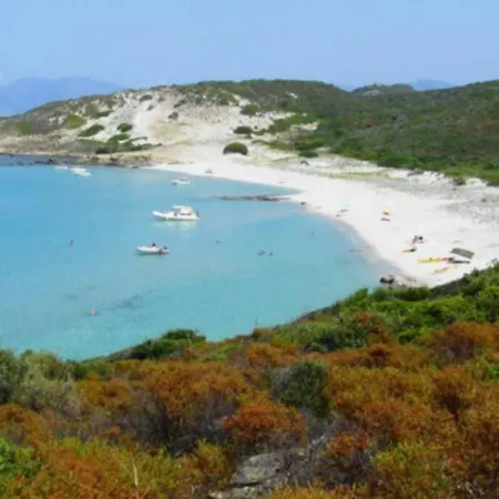 Avec Piscine A 2km De Saintflorent Oletta (Corsica)
