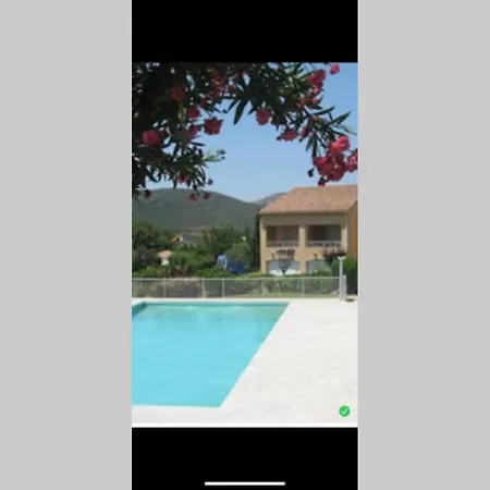 Avec Piscine A 2km De Saintflorent Apartment Oletta (Corsica)